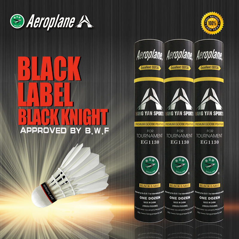 AEROPLANE EG1130 -51